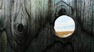 What Great Executives Know and Do
